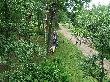 DSCF1790.JPG